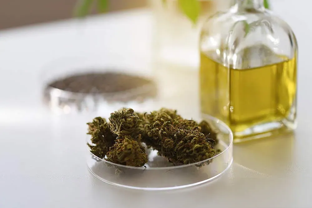 Der Aufstieg von CBD